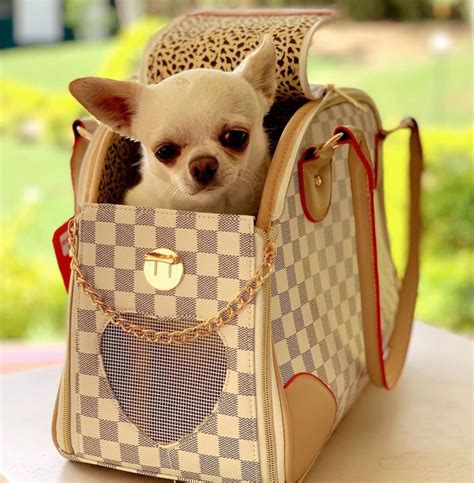 chihuahua draagtas louis vuitton|Travel Bags and Rolling Luggage .